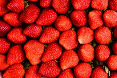 Taze çok tatlı kırmızı çilek, yaz meyve