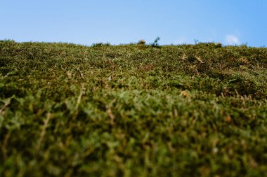Mavi yeşil çim gökyüzünden görünümünü