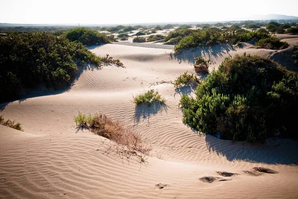Desert Dunes Med Vågor — Stockfoto