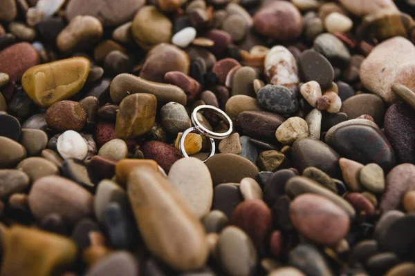 Par Elegantes Anillos Boda —  Fotos de Stock