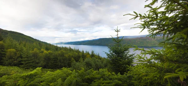 蓝色湖在安静的森林里放松与平静在假期 — 图库照片