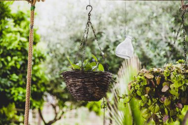 Çiçekler, bitkiler ve sebze ve bir meyve bahçesi.