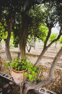 Çiçekler, bitkiler ve sebze ve bir meyve bahçesi.