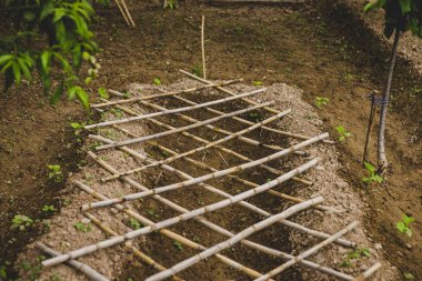 Çiçekler, bitkiler ve sebze ve bir meyve bahçesi.