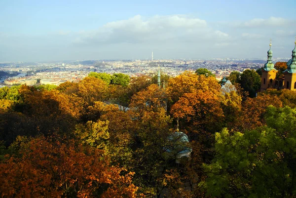 Vista Ciudad Praga Desde Colina Del Bosque — Foto de Stock