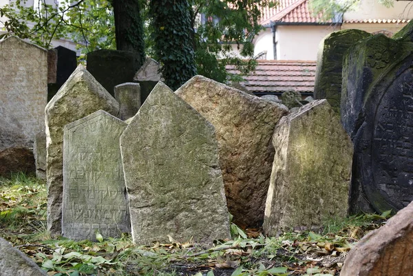 Историческое Еврейское Кладбище Каменными Гробницами Праге Разбитыми Памятниками Течением Времени — стоковое фото