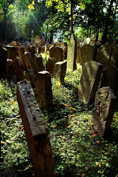 Historic Old Jewish Cemetery Rock Tombs Prague Broken Monuments Passage — Stock Photo, Image