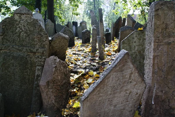Antico Cimitero Ebraico Storico Con Tombe Rupestri Praga Monumenti Rotti — Foto Stock