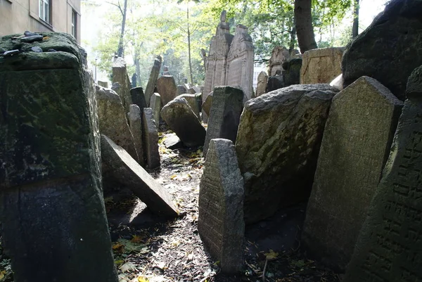 Историческое Еврейское Кладбище Каменными Гробницами Праге Разбитыми Памятниками Течением Времени — стоковое фото