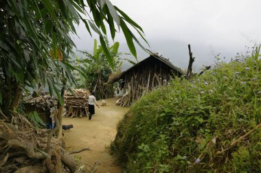 çiftçiler ve Vietnam pirinç alanlardaki kırsal insanlar