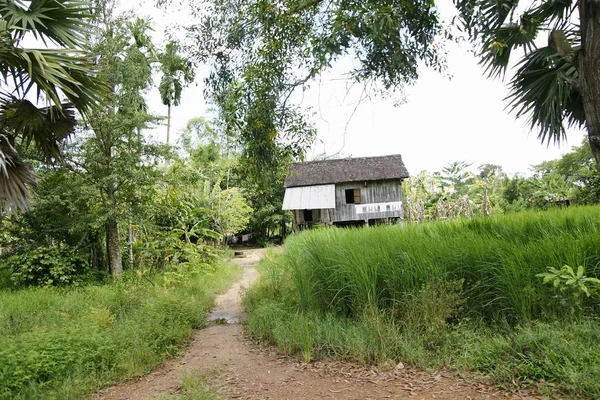 farmers and rural people in the rice fields of vietnam