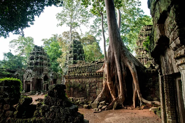 カンボジアのアンコール ワットでの宗教的な寺院 — ストック写真