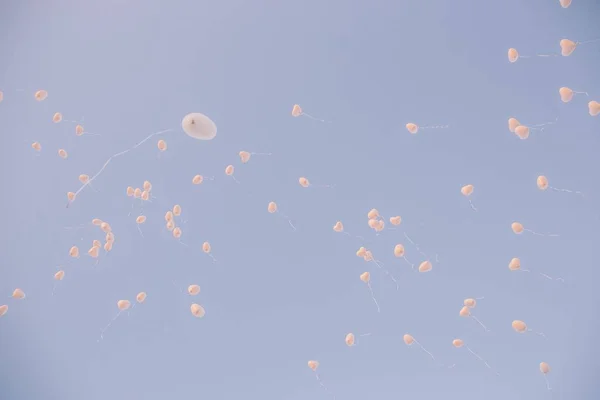 Pembe Beyaz Balonlar Için Eğlenceli Etkinlikler Kutlamalar — Stok fotoğraf