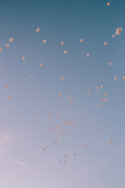 Rosa Och Vita Ballonger För Roliga Evenemang Och Festligheter — Stockfoto