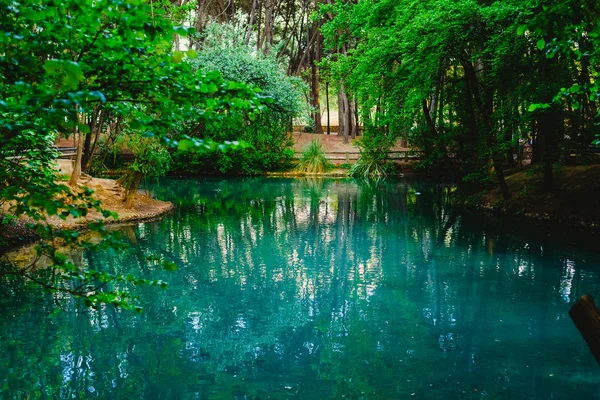 绿色森林中溪流和湖泊的透明水 — 图库照片