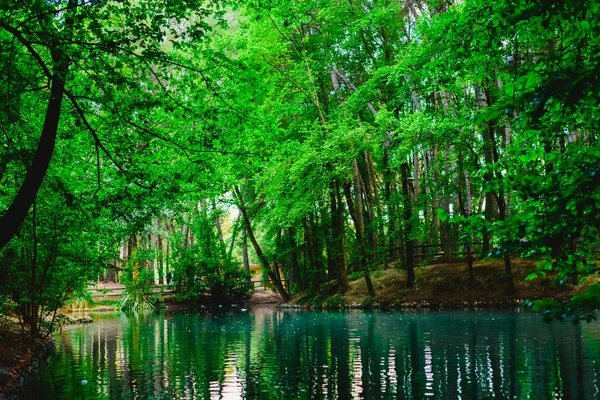 Transparant Water Van Een Stroom Een Meer Het Groene Woud — Stockfoto