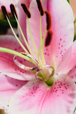 Alyans çiçekler içinde