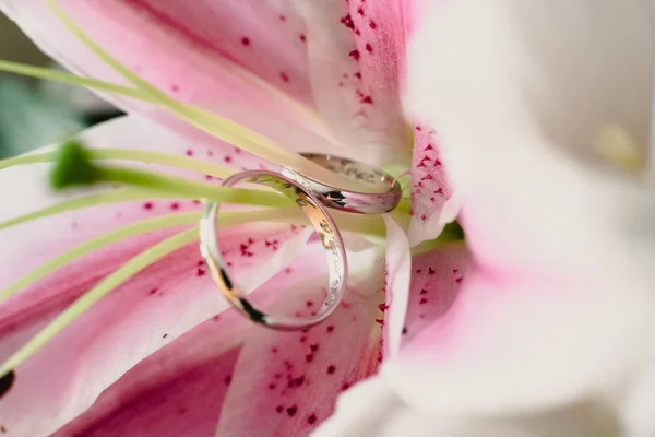 Snubní Prsteny Uvnitř Květiny — Stock fotografie