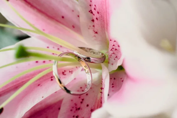 Esküvő Gyűrű Belsejében Virágok — Stock Fotó