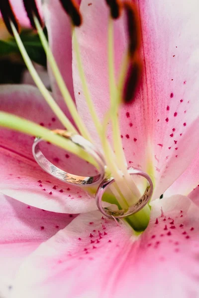 Wedding Rings Flowers — Stock Photo, Image