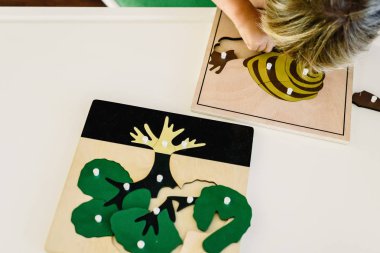 Çocuğun elleri biyoloji montessori malzeme ile öğrenme