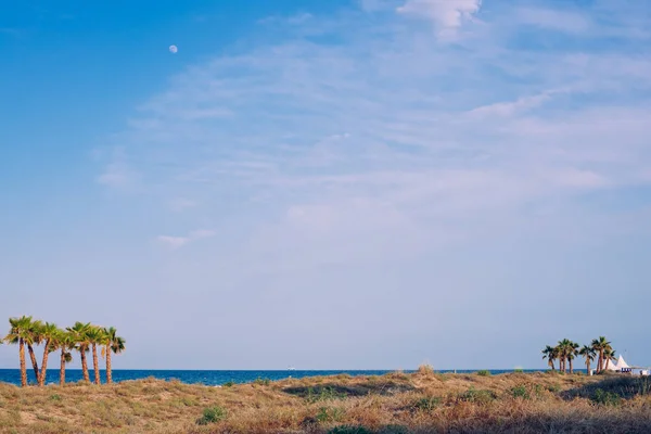 Widok Morze Ziemi Plaży Palmami — Zdjęcie stockowe