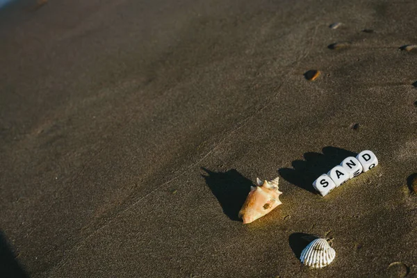 Summer Concept Made Dice Letters Wet Sand Beach Marine Motives — Stock Photo, Image