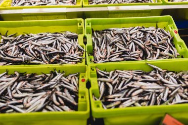 buzun içinde bir balık satıcısı ile bir kutu sardalya balık.