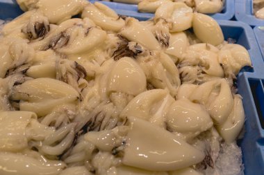 Mürekkep balığı balık balık satıcısı olmaktan bir kutuda.