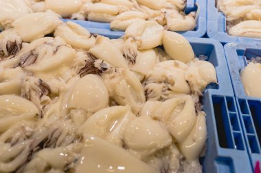 Mürekkep balığı balık balık satıcısı olmaktan bir kutuda.