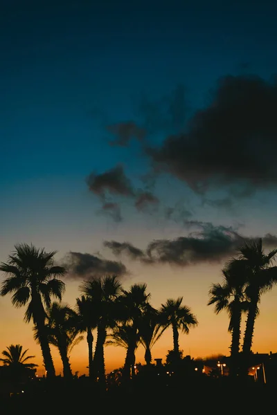 Podsvícené Palmy Při Západu Slunce Městě Resort Beach Létě — Stock fotografie