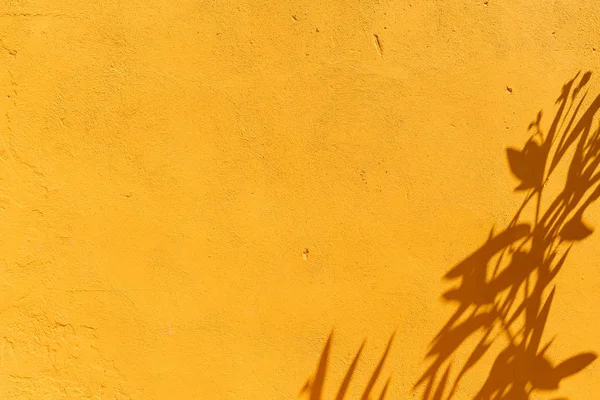 Оранжевый Цвет Стены — стоковое фото