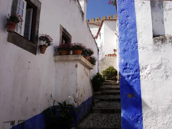 Lisbon, Portekiz - 8 Ağustos 2017: Tipik Lizbon üst mahallelerde bakımsız evlerde.