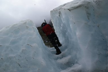 Fox glacier, Yeni Zelanda