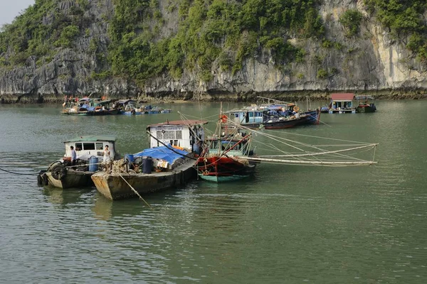 Halong Bay Vietnã Maio 2013 Barcos Madeira Típicos Para Turistas — Fotografia de Stock