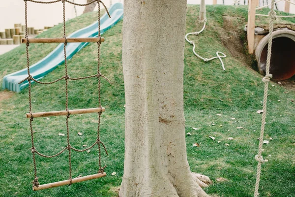 Logs and wooden sticks installed in a school for the children\'s game