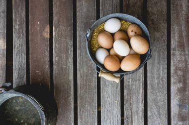 Metal kova organik tavuk yumurta tam