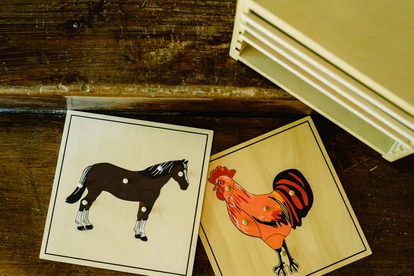 Kabinet Voor Boards Leren Van Lichaamsdelen Van Dieren — Stockfoto