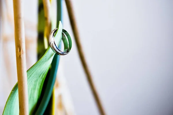 Anillos Boda Aislados Con Espacio Para Texto —  Fotos de Stock