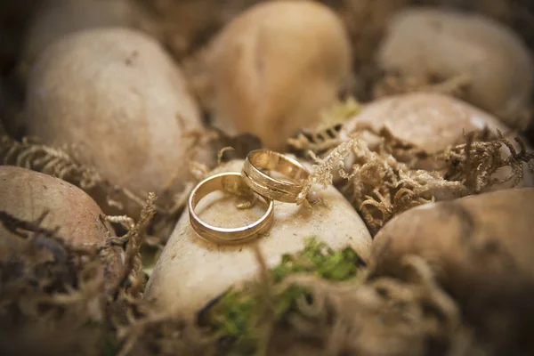 Anillos Oro Las Rocas Una Playa —  Fotos de Stock