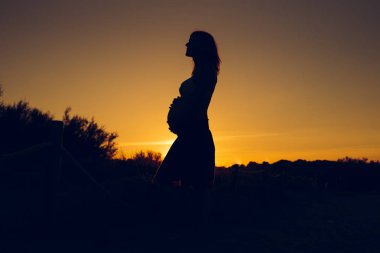 Düz renkli arka plan ile gün batımında hamile kadın silüeti.