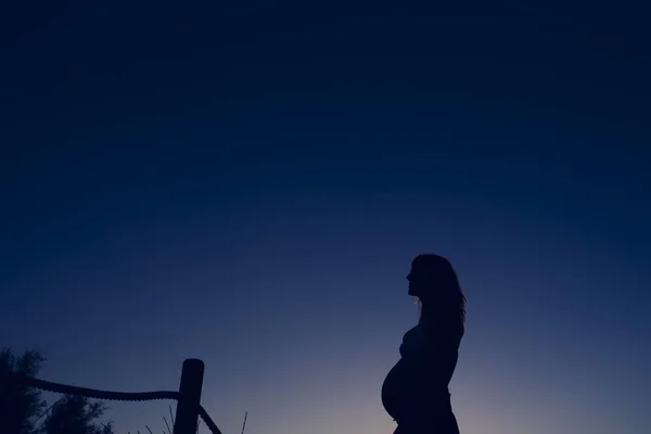 Sylwetka Kobieta Ciąży Zachodzie Słońca Jednolitym Kolorem Tła — Zdjęcie stockowe