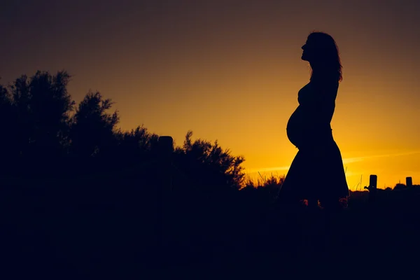 Silhouette Pregnant Woman Sunset Solid Color Background — Stock Photo, Image