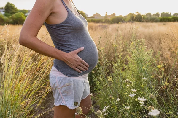 Belly Pregnant Woman Countryside — Stock Photo, Image