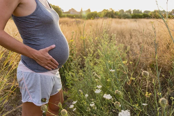 Belly Pregnant Woman Countryside — Stock Photo, Image