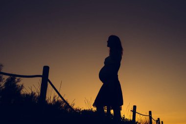 Düz renkli arka plan ile gün batımında hamile kadın silüeti.