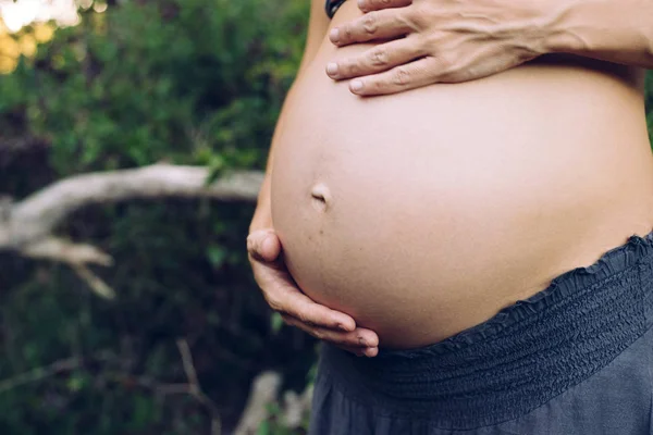 Hamile Kadının Göbek Onunla Okşayarak Yakın Çekim Doğa Eller — Stok fotoğraf
