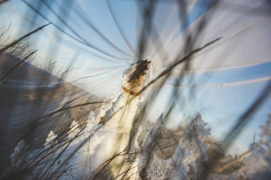 Eğlenmek için rüzgara karşı hareket gelin elbisesi, peçe ile oynarken kırsal.
