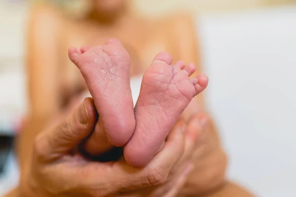 Nyfödd Fötter Flås Innehas Mamma — Stockfoto