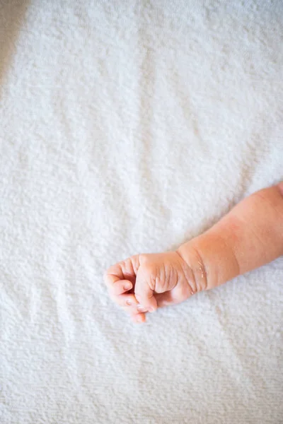 Newborn Fists Showing Strength — Stock Photo, Image